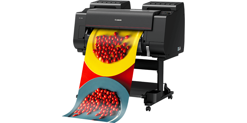 Canon Pro-2100 Printer