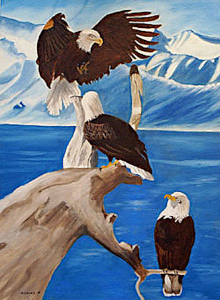 Bald Eagles - Oil on Canvas - 46cm x 61cm