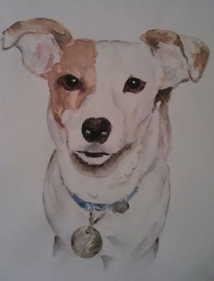 Dog2 - Watercolour A4