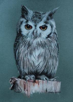 Eddie The Eagle Owl - Coloured Pencil on Ingres Paper - A4