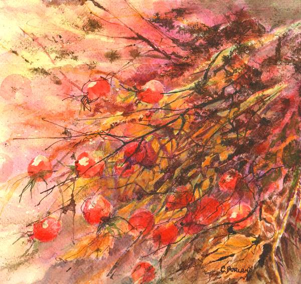 Berry Tangled - Watercolour - 2018 - 21 x 21cm