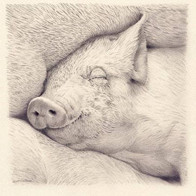Let Sleeping Pigs Lie