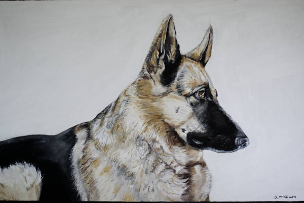 German Shepherd - 91cm x 62cm - Acrylic on canvas