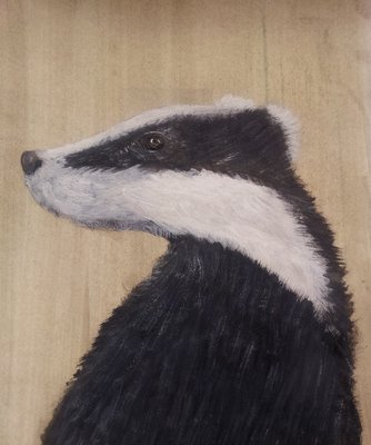 Profile of a Badger - Acrylic on Card - 2013 - 5ins x 8ins