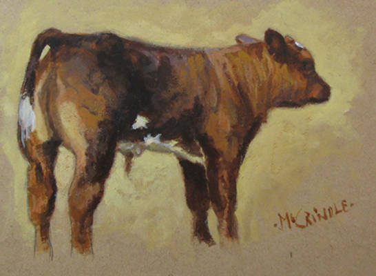 Sketch of a Bull Calf