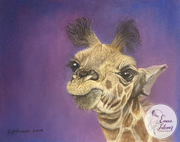 Baby giraffe "Attitude" - 24 x 30cm - Pastels on Pastelmat Paper