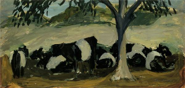 Belted Galloways in The Shade - Gouache