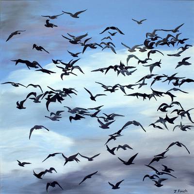 Seagulls -  - Acrylic on Canvas Board