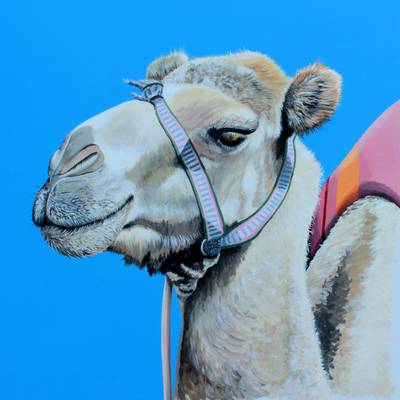 Aman Camel -  - Acrylic on Canvas Board