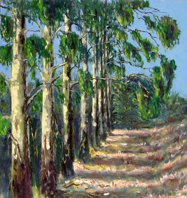 Avenue of Gums, Canterbury, New Zealand - Oil on Board - 22in x 22in