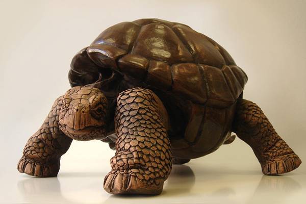 Giant Tortoise - Individually made - about 40cm dia fired and finished in acrylics