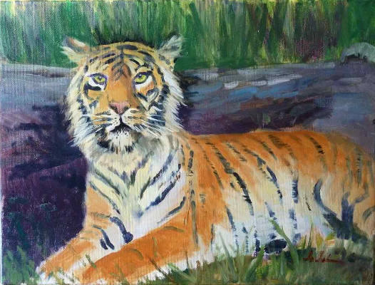 Tyler, Tiger... - Oil on Canvas - 12ins X 16ins