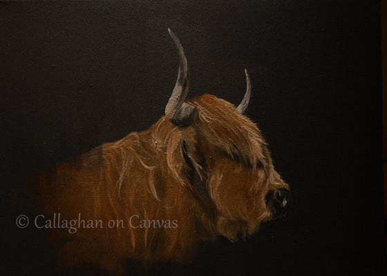 Highland - Oil on Canvas - 16 x 12ins