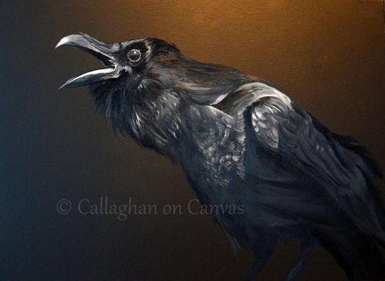 Raven - Oil on Canvas - 16 x 12ins
