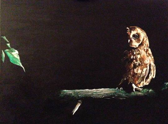 Tawny Owl - Acrylic on Canvas - 20ins x 16ins