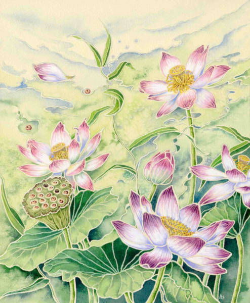 Lotus Flower - Watercolour on Tinted Paper - 26 x 32cm