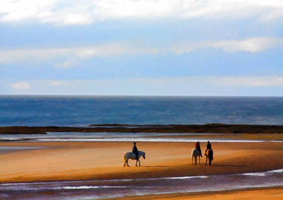Pony Trek Two -  Hand in hand with Pony Trek the first. Ponies enjoying the beach - A2 Canvas giclee print