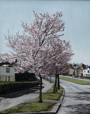 Cherry Blossom, Knightswood Cross - Oil on Canvas - 50cm x 40cm