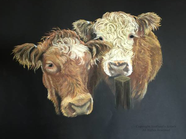 Two Coos - Pastel - A2 - 2018