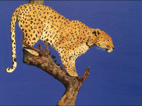 Leopard - Acrylic