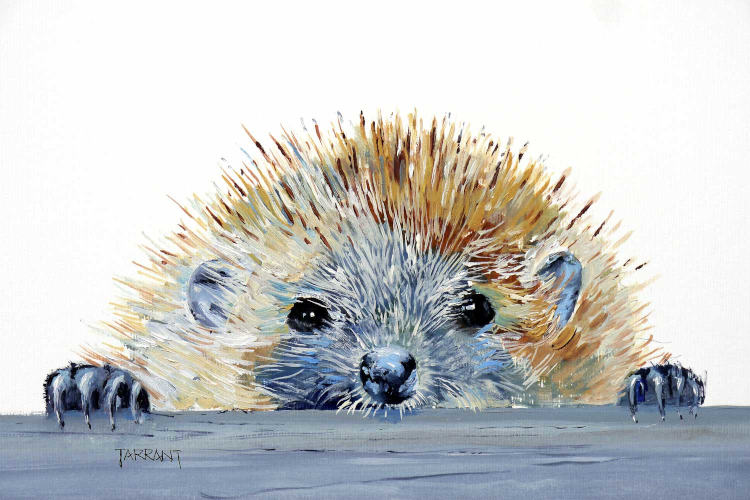 Harry Hedgehog - Oil on Fabriano Paper - 20x 25 cm