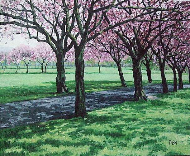 Cherry Blossom. The Meadows, Edinburgh - Oil on Board