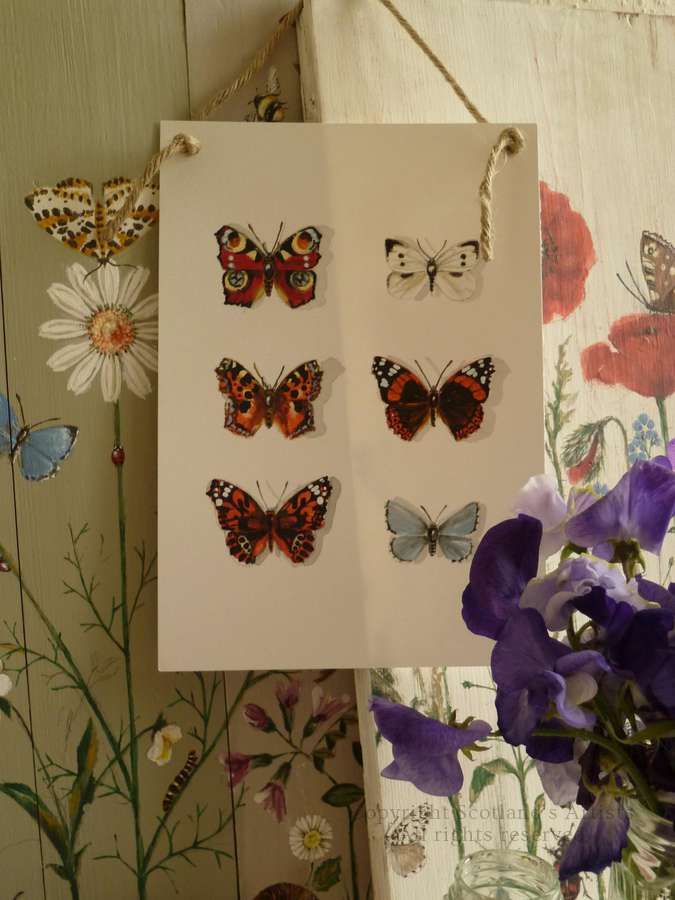 Six Butterflies - Acrylic on paper