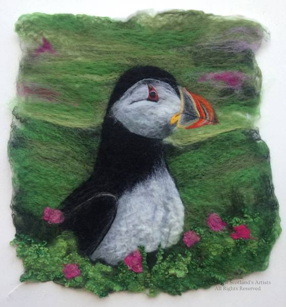 A Puffin in the Hills