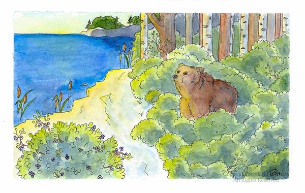 Bear and the Blueberries - Watercolour - A5