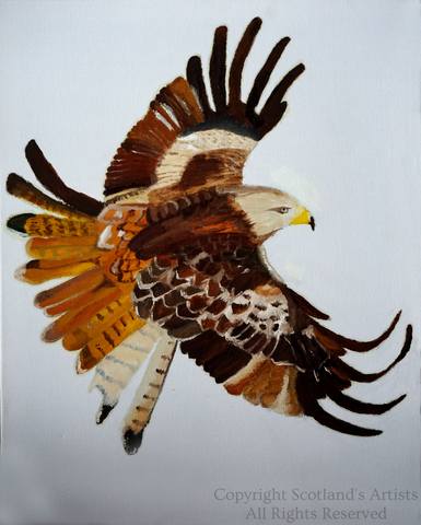 Red Kite - Oil on Canvas - 2014 - 40 x 50 x 2cm