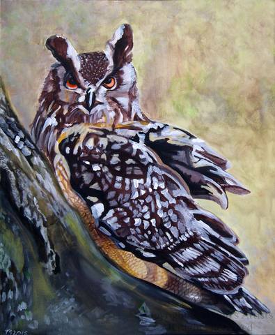 Eagle Owl - Acrylic on Canvas - 2015 - 18 bx 16 x 2 inch box canvas