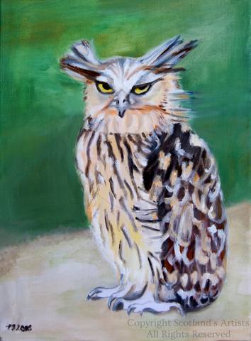 Buffy Fish Owl - Oil on Canvas - 2015 - 30 x 40 x 2cm