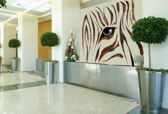 Mural for reception area, zebra designs
